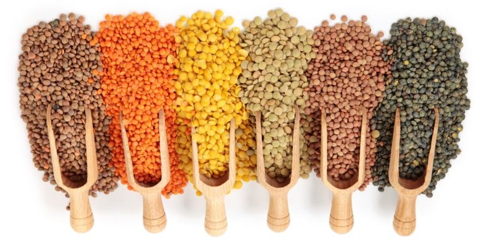 Pulses Brand in Kerala